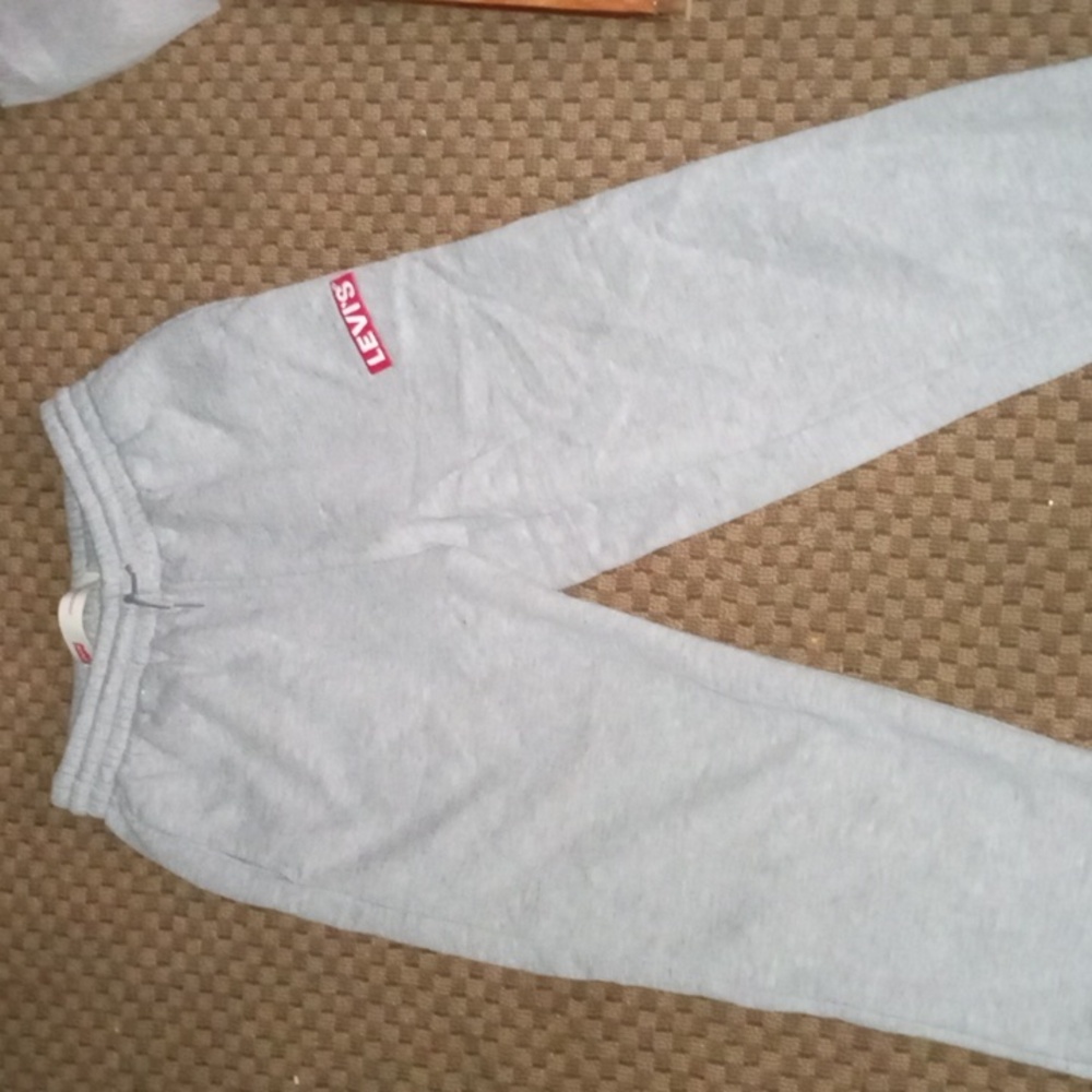 Grey Levi jogger pants